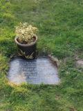 image of grave number 612297